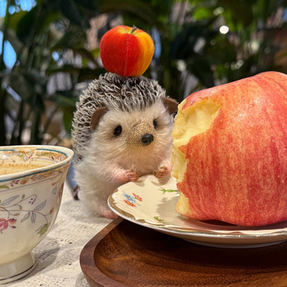 Snowball | Hedgehog Plush Toy