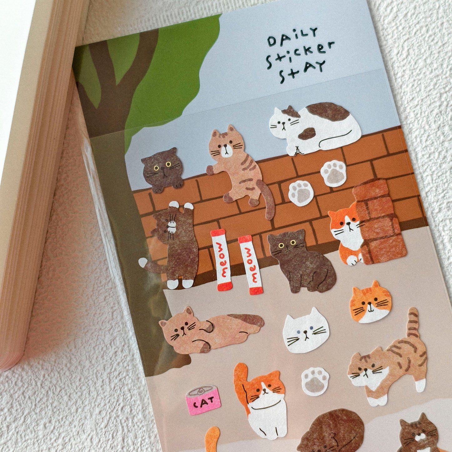 Bonito | Aelly Cat