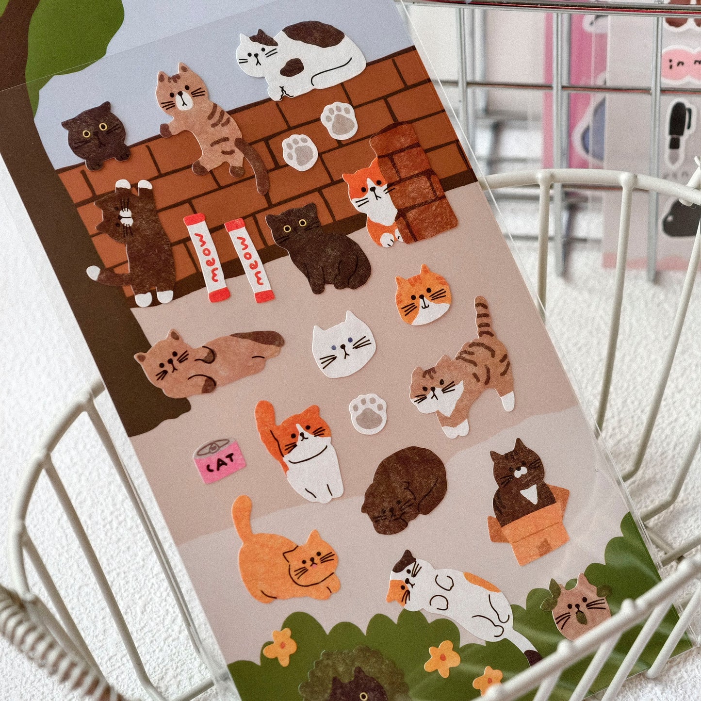 Bonito | Aelly Cat